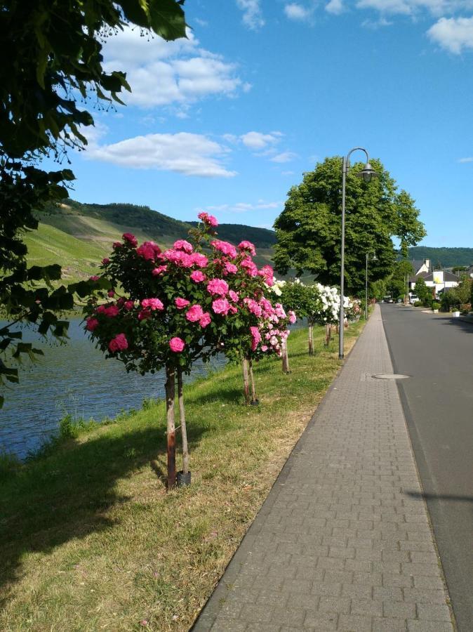 Ferienwohnungen Und Gaestezimmer Peter Busch Бернкастель-Кюс Экстерьер фото