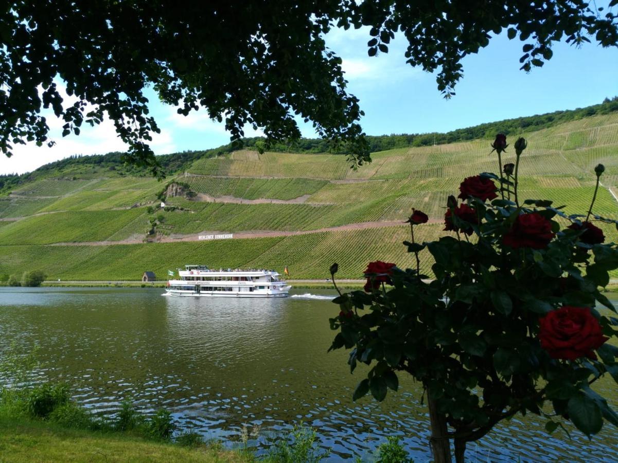 Ferienwohnungen Und Gaestezimmer Peter Busch Бернкастель-Кюс Экстерьер фото