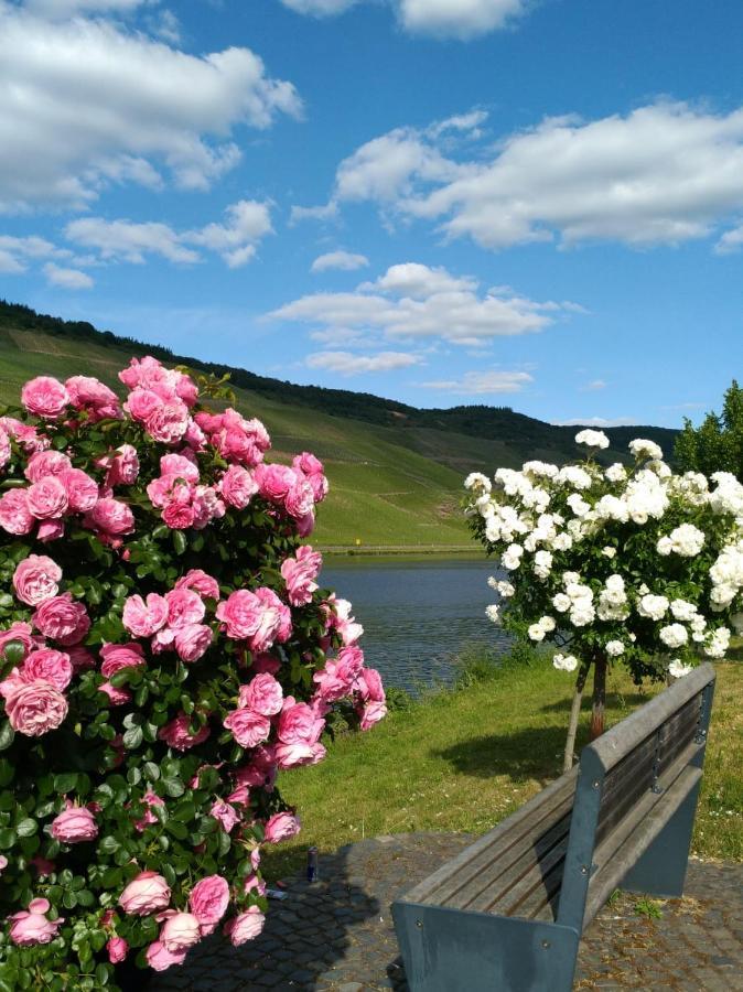 Ferienwohnungen Und Gaestezimmer Peter Busch Бернкастель-Кюс Экстерьер фото