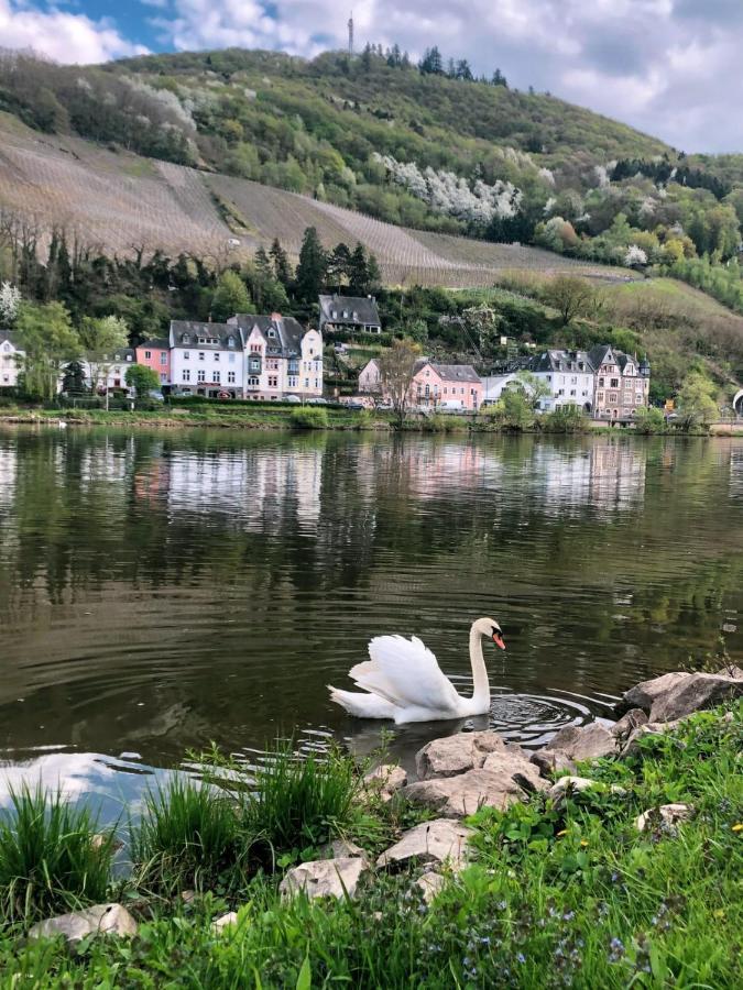 Ferienwohnungen Und Gaestezimmer Peter Busch Бернкастель-Кюс Экстерьер фото